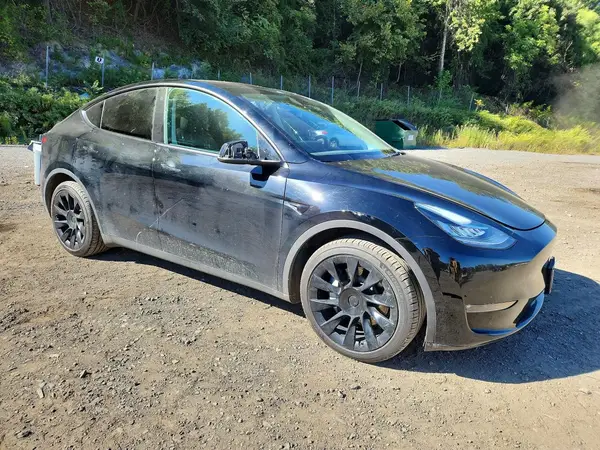 7SAYGDEE3PF613397 — 2023 Tesla Model Y, фото 4 с аукциона Copart 08.10.2026, Крыша