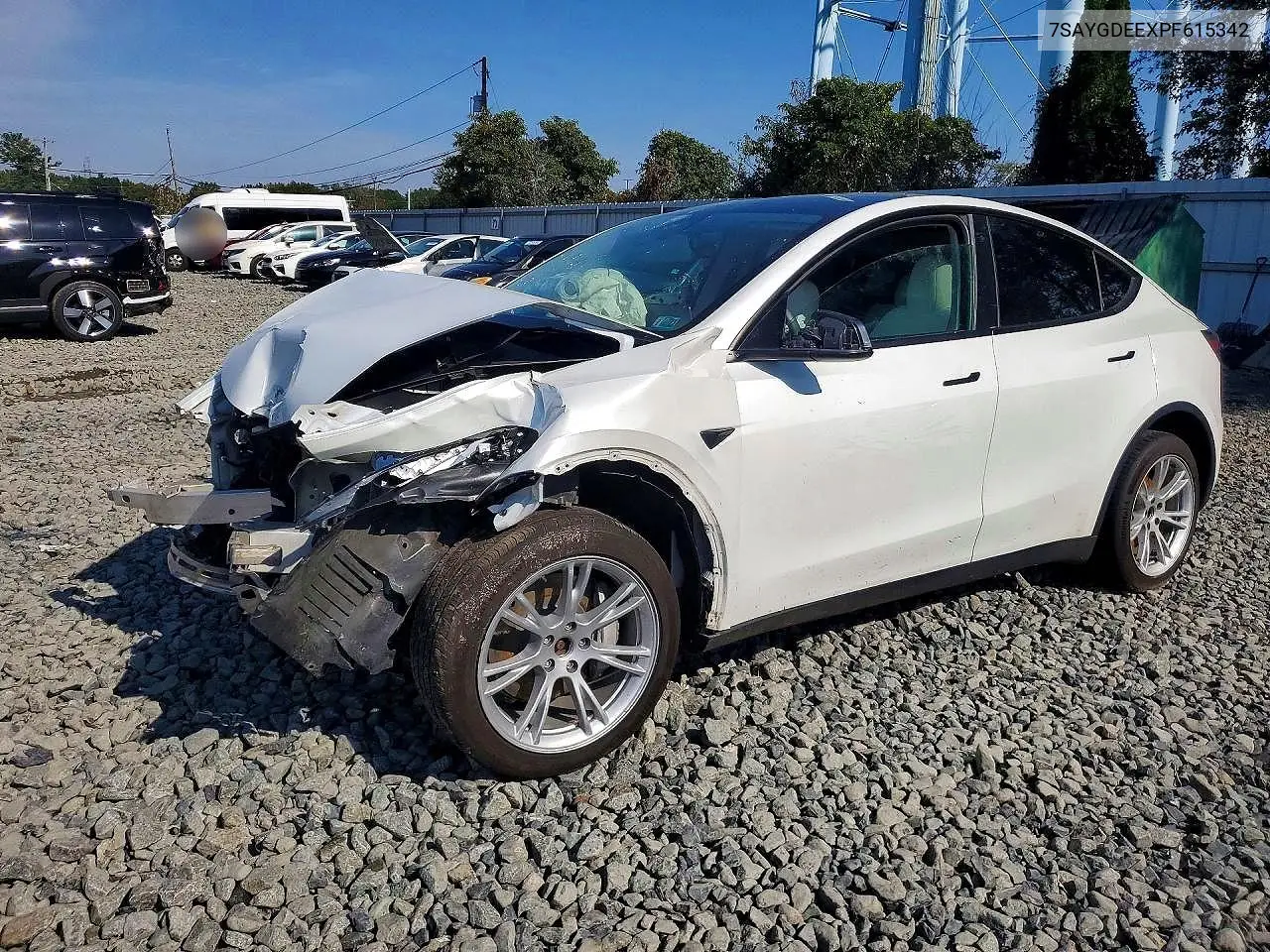 2023 Tesla Model Y VIN 7SAYGDEEXPF615342 фото 1
