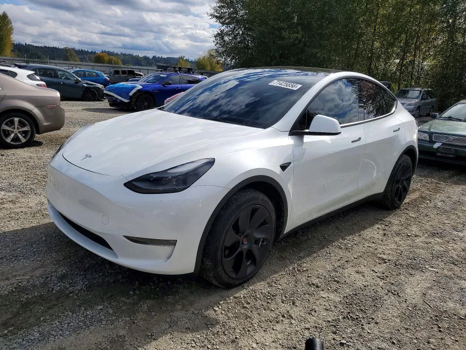 2023 Tesla Model Y VIN 7SAYGDEE2PF662882 фото 1