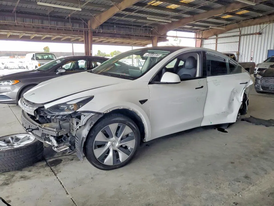 2024 Tesla Model Y VIN 7SAYGDEE1RF054192 фото 1