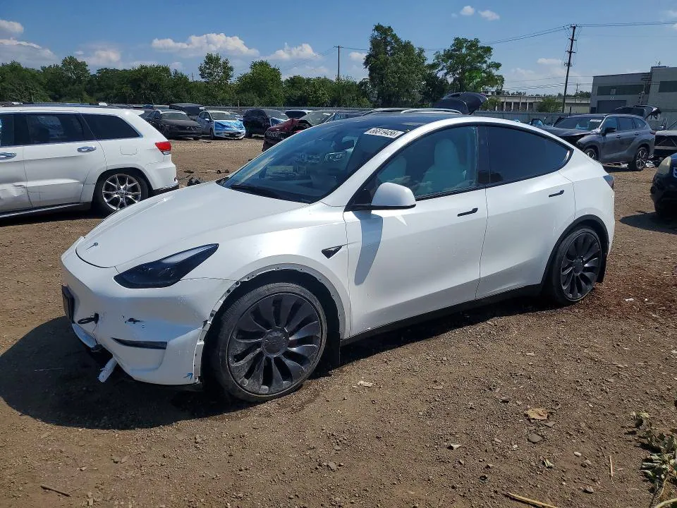2024 Tesla Model Y VIN 7SAYGDEF3RA299243 фото 1