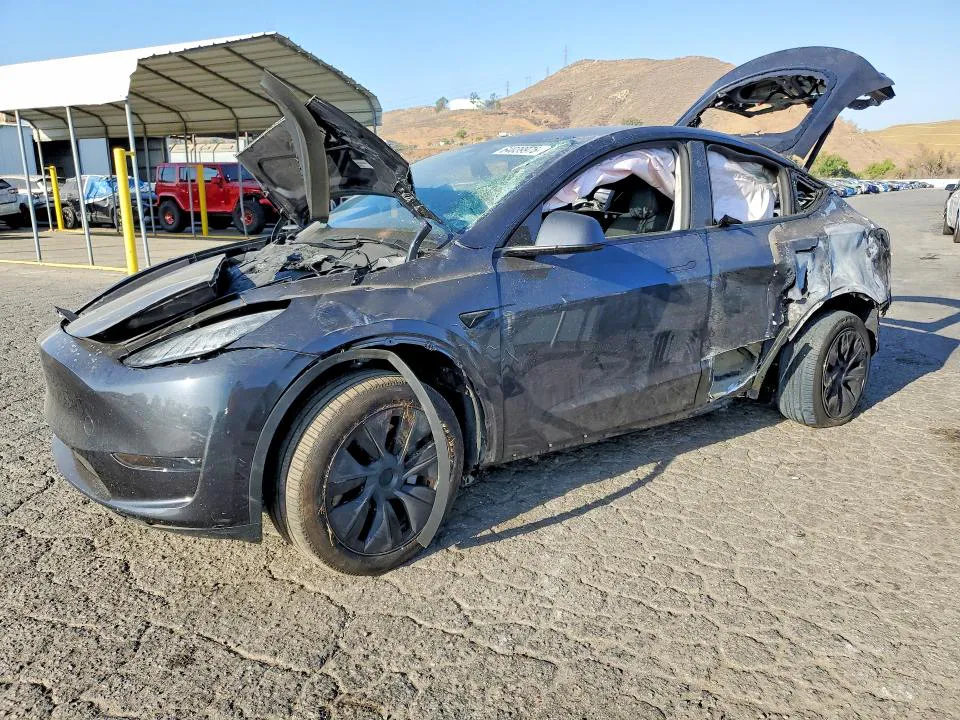 2025 Tesla Model Y VIN 7SAYGDED1SF250940 фото 1
