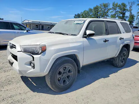 JTEMU5JR1R6287046 — 2024 Toyota 4RUNNER, Подтопление (Water/Flood), фото до ремонта