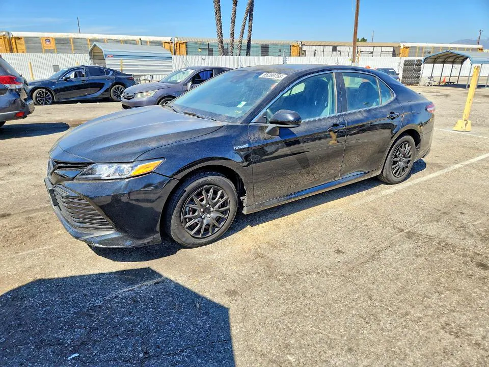 2019 Toyota Camry VIN 4T1B31HK9KU510589 фото 1