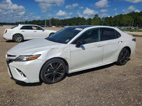 4T1B61HK5KU704799 — 2019 Toyota Camry, Передняя часть (Front End), фото до ремонта