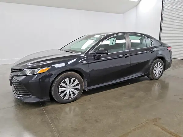4T1B31HK5KU511142 — 2019 Toyota Camry, Передняя часть (Front End), фото до ремонта