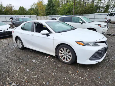 4T1B11HK4KU197201 — 2019 Toyota Camry, фото 4 с аукциона Copart 19.10.2026, Задняя часть