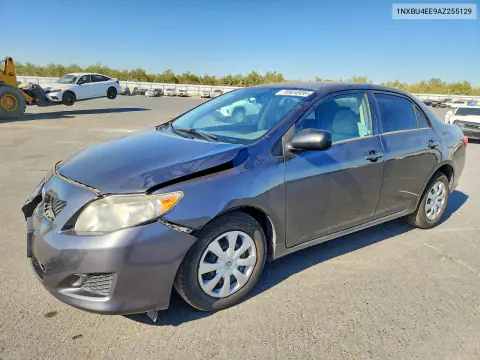 1NXBU4EE9AZ255129 — 2010 Toyota Corolla, Передняя часть, фото до ремонта
