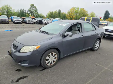 1NXBU4EE5AZ293442 — 2010 Toyota Corolla, Задняя часть, фото до ремонта