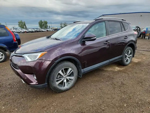 2T3RFREV8GW477439 — 2016 Toyota RAV4, Задняя часть (Rear End), фото до ремонта