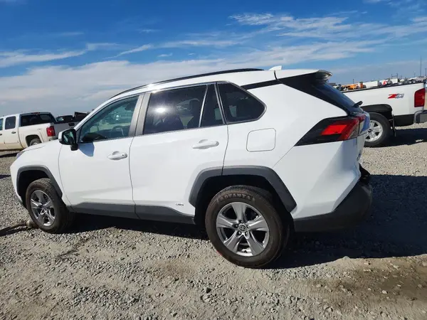 2T3RWRFV8PW183666 — 2023 Toyota RAV4, фото 2 с аукциона Copart, Задняя часть