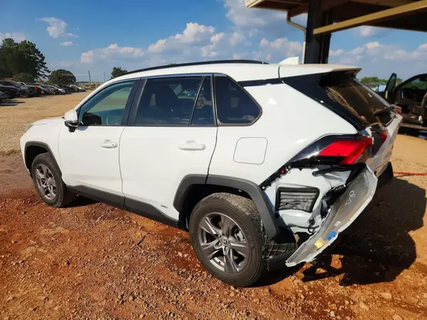 4T3RWRFV1RU135316 — 2024 Toyota RAV4, фото 2 с аукциона Copart, Задняя часть