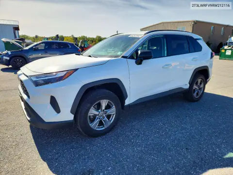 2T3LWRFV9RW212116 — 2024 Toyota RAV4, Мелкие вмятины и царапины, фото до ремонта