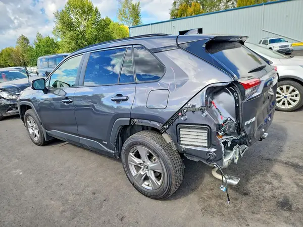 JTMRWRFV6SD303373 — 2025 Toyota RAV4, фото 2 с аукциона Copart, Задняя часть