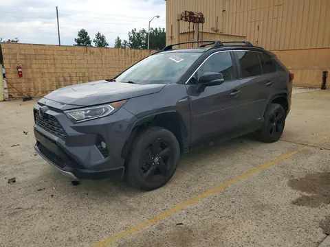 2T3EWRFV7KW010874 — 2019 Toyota RAV4, Мелкие вмятины и царапины (Minor Dent/Scratches), фото до ремонта