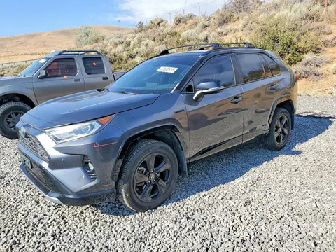 4T3E6RFV4MU033256 — 2021 Toyota RAV4, Мелкие вмятины и царапины (Minor Dent/Scratches), фото до ремонта