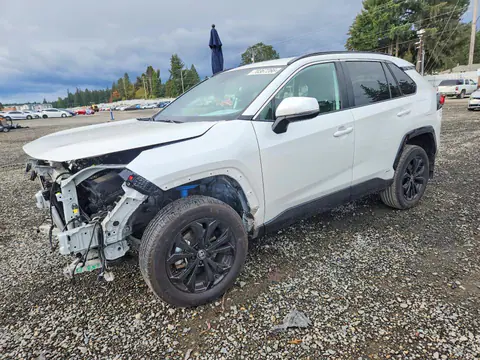 2T3T6RFV4RW075280 — 2024 Toyota RAV4, Передняя часть (Front End), фото до ремонта