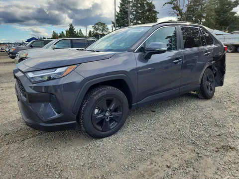 2T3P1RFV7RW473552 — 2024 Toyota RAV4, Задняя часть (Rear End), фото до ремонта