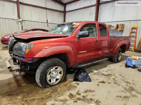 5TEUX42N56Z204637 — 2006 Toyota Tacoma, Передняя часть, фото до ремонта