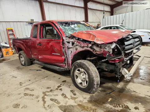 2006 Toyota Tacoma Base VIN 5TEUX42N56Z204637 фото 4
