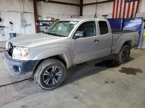 5TEUU42N89Z632392 — 2009 Toyota Tacoma, Град (Hail), фото до ремонта