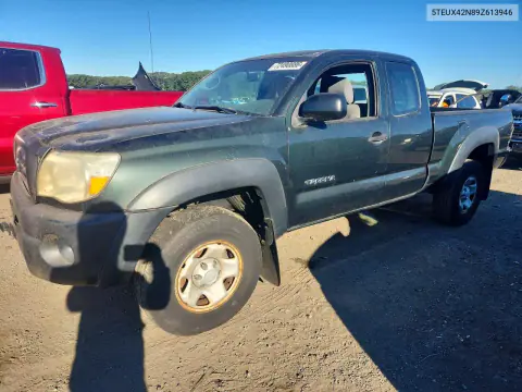 5TEUX42N89Z613946 — 2009 Toyota Tacoma, Мелкие вмятины и царапины, фото до ремонта