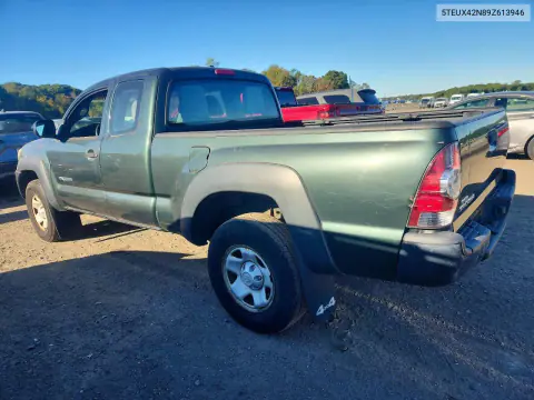 2009 Toyota Tacoma Access Cab VIN 5TEUX42N89Z613946 фото 2