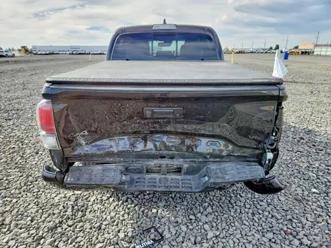 3TMGZ5AN8PM560738 — 2023 Toyota Tacoma, фото 6 с аукциона Copart 14.10.2026, Задняя часть