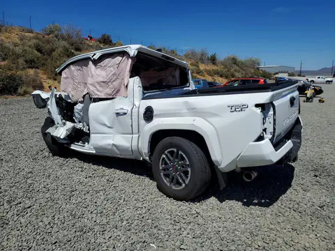 2024 Toyota Tacoma VIN 3TMLB5JN3RM079155 фото 2