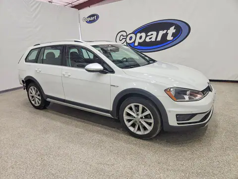 3VWH17AU7HM542809 — 2017 Volkswagen GOLF Alltrack, фото 4 с аукциона Copart 13.10.2026, Задняя часть
