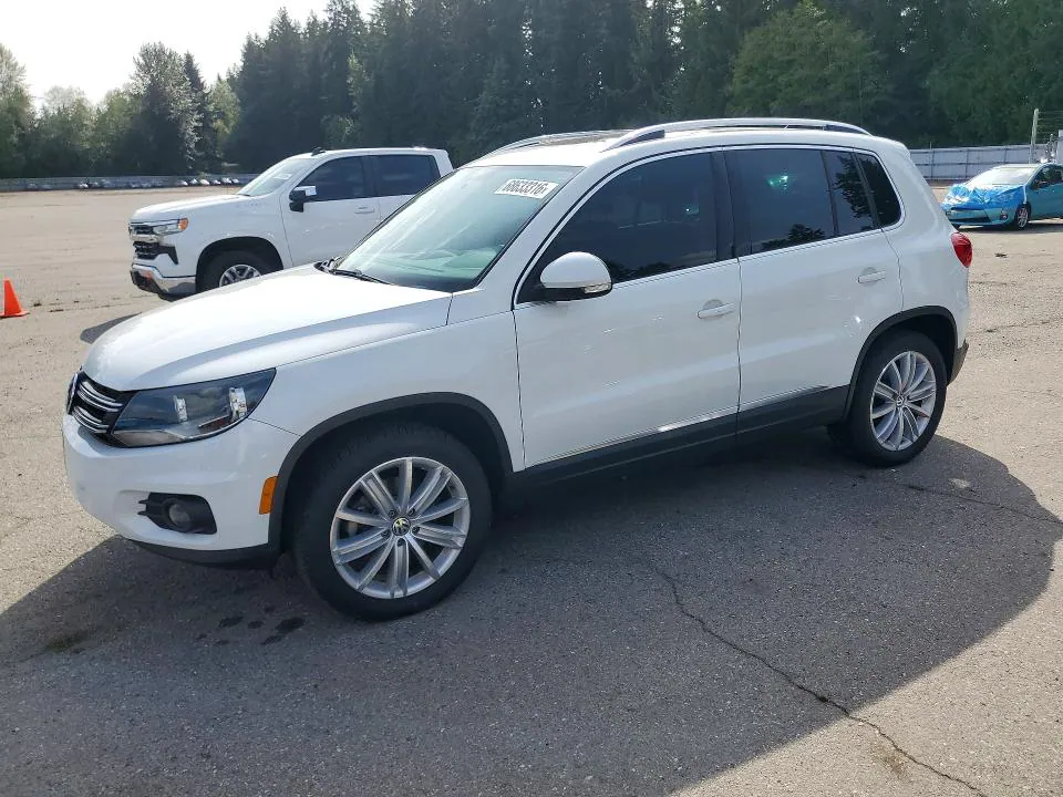 2015 Volkswagen Tiguan VIN WVGBV7AX9FW563922 фото 1