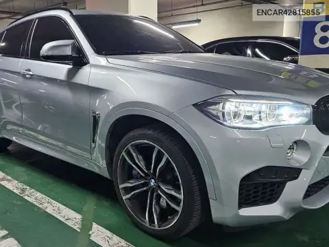 ENCAR42815855 — 2019 BMW, фото до ремонта