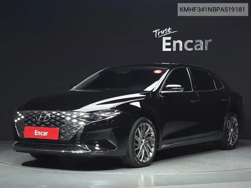 The New Grandeur Ig 3.0 Lpi (Taxi Type) High-End Model VIN KMHF341NBPA519181 фото 1