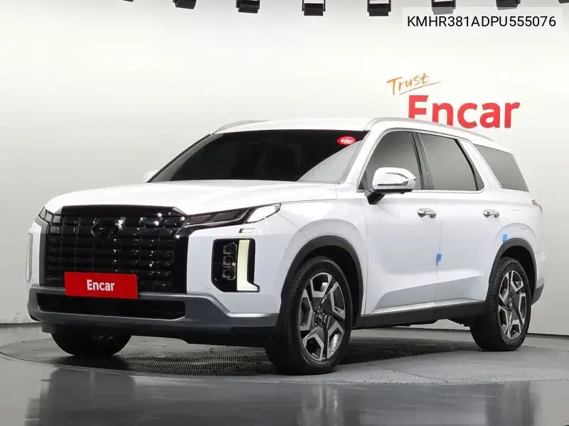 The New Palisade Diesel 2.2 4Wd Prestige VIN KMHR381ADPU555076 фото 1