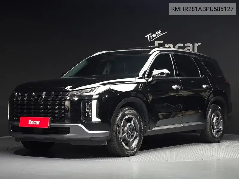 The New Palisade Diesel 2.2 2Wd Exclusive VIN KMHR281ABPU585127 фото 1