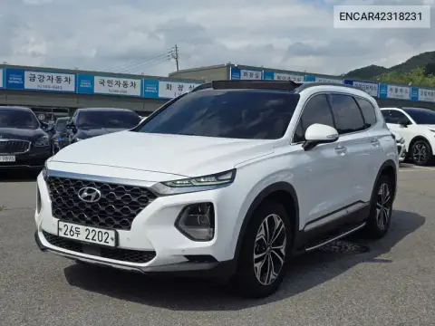 KMHS381BBKU014098 — 2018 Hyundai Santa FE, фото до ремонта