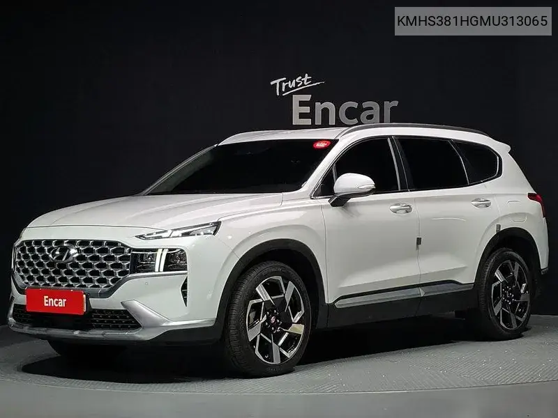 The New Santa Fe Diesel 2.2 2Wd Prestige VIN KMHS381HGMU313065 фото 1