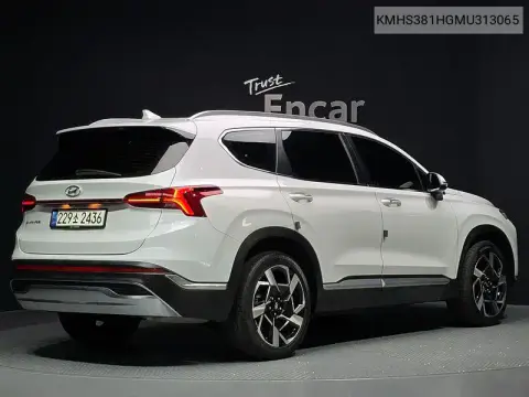 The New Santa Fe Diesel 2.2 2Wd Prestige VIN KMHS381HGMU313065 фото 2