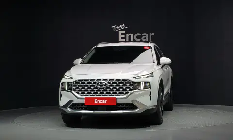 The New Santa Fe Diesel 2.2 2Wd Prestige VIN KMHS381HGMU313065 фото 3