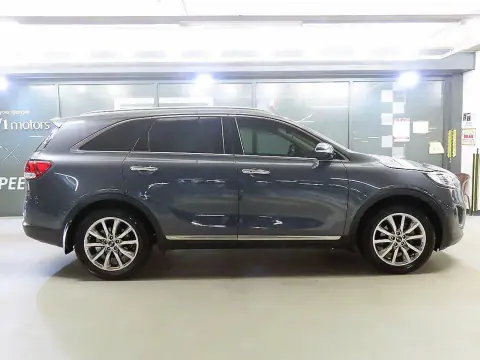 All New Sorento Diesel 2.0 2Wd Noblesse VIN KNAPH81ABFA032951 фото 3