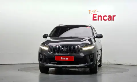 The New Sorento Gasoline 2.0 Turbo 4Wd Noblesse VIN KNAPS811DJA391826 фото 3