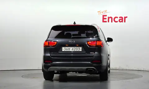 The New Sorento Gasoline 2.0 Turbo 4Wd Noblesse VIN KNAPS811DJA391826 фото 4