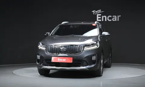 The New Sorento Diesel 2.0 2Wd Noblesse VIN KNAPS81ABKA529421 фото 3