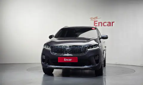 The New Sorento Diesel 2.2 2Wd Master VIN KNAPK81BBKA486324 фото 3