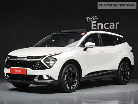 KNAPV81BGNK018585 — 2021 Kia, фото до ремонта