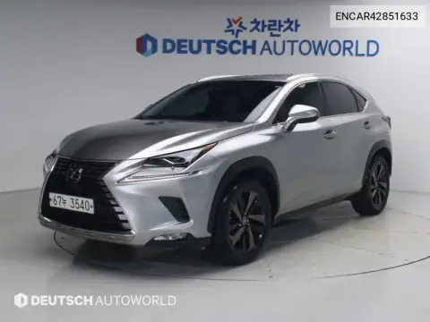ENCAR42851633 — 2019 Lexus NX, фото до ремонта
