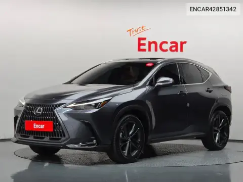 ENCAR42851342 — 2025 Lexus, фото до ремонта