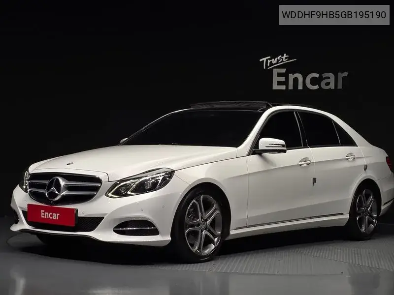 E-Class W212 E250 Bluetec 4Matic Avant Garde VIN WDDHF9HB5GB195190 фото 1