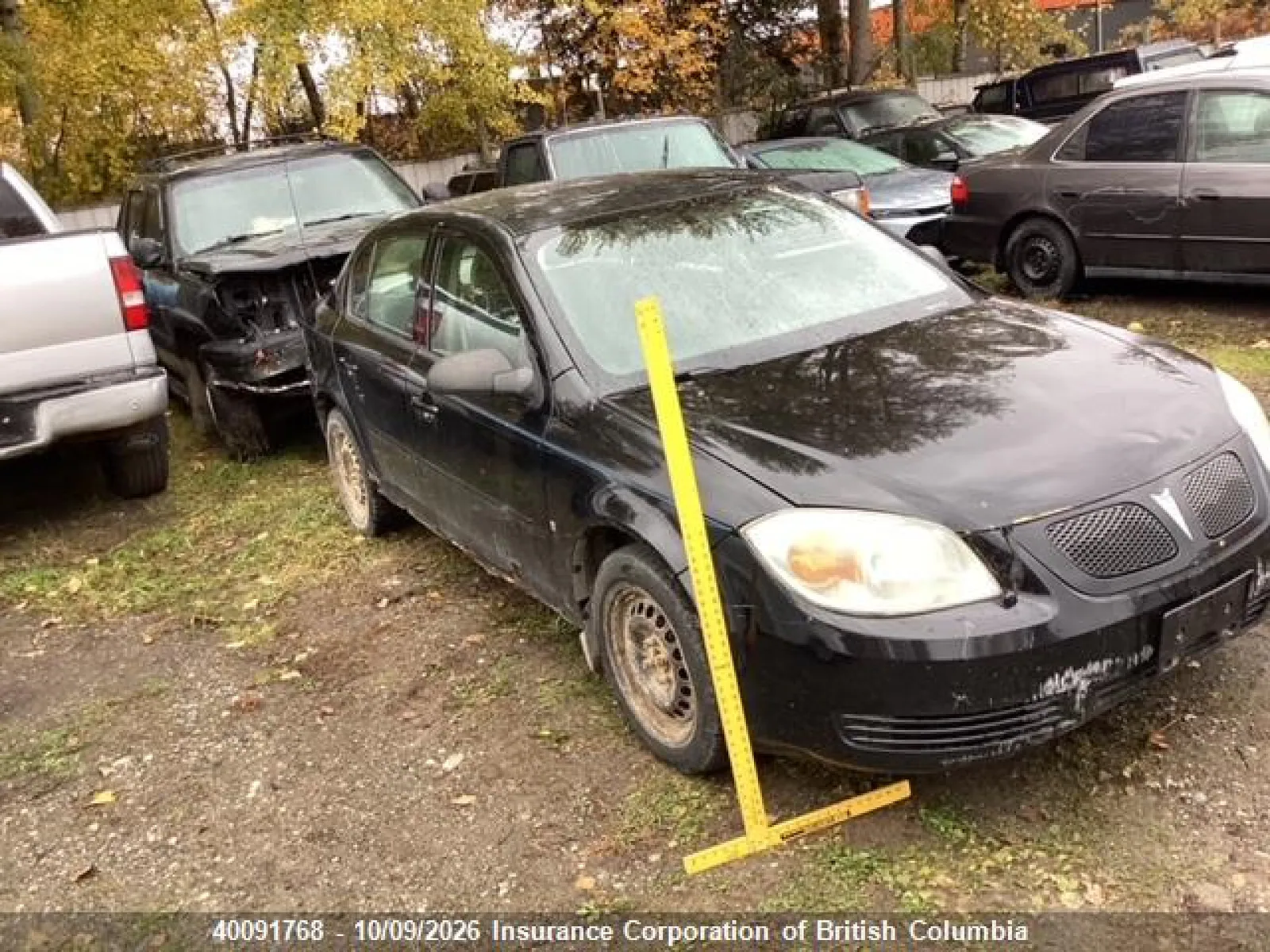 2006 Pontiac Pursuit VIN 1G2AJ55F567776723 фото 2