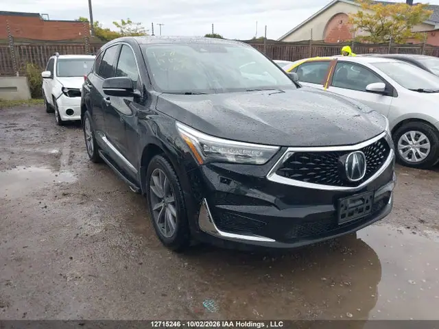5J8TC2H70KL800611 — 2019 Acura RDX Elite, Угон (Theft), фото до ремонта